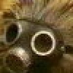 Profile picture of isaquvira