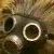 Profile picture of isaquvira
