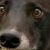 Profile picture of ifuni
