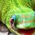 Profile picture of ucasyh