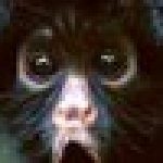 Profile picture of uvuvekex